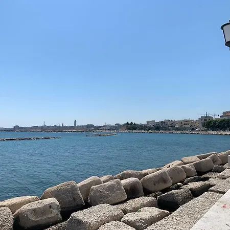 Mea House And 2019 招待所